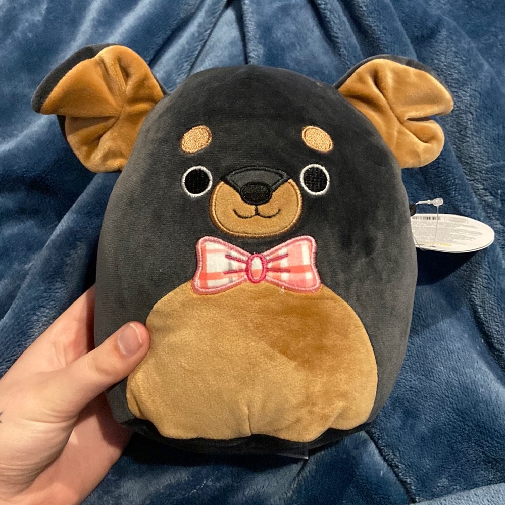 dog squishmallow